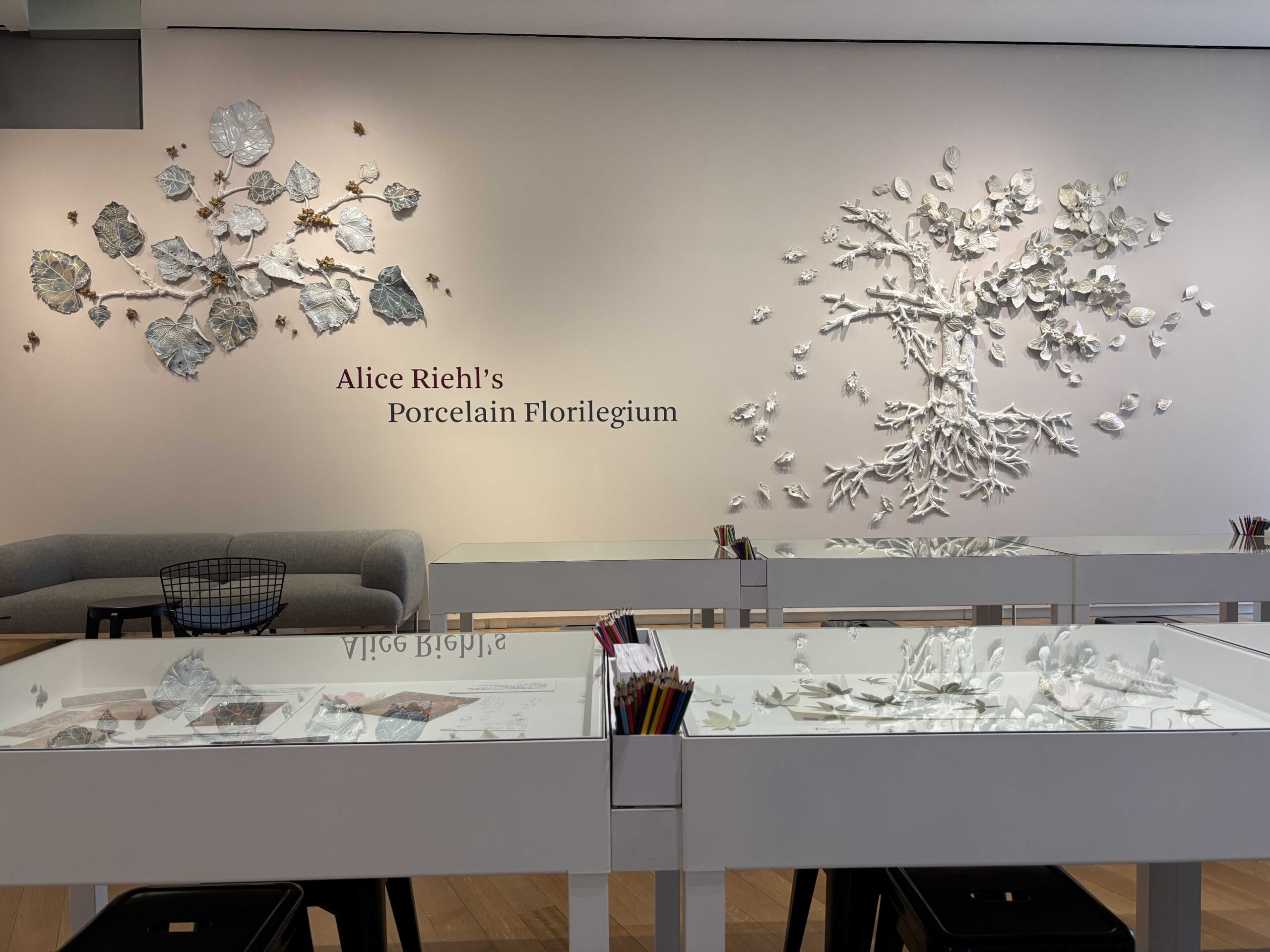 French Artist Alice Riehl Solo Exhibition at Museum of Arts and Design